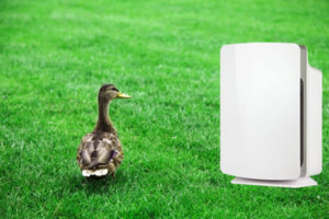 best air purifier