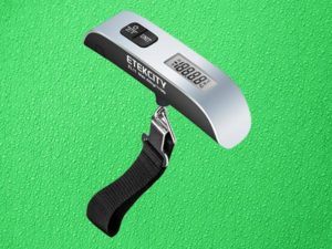 portable luggage scale