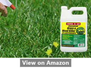 Compare-N-Save best Weed Killer Reviews