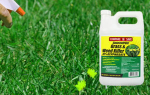 Compare-N-Save Weed Killer reviews