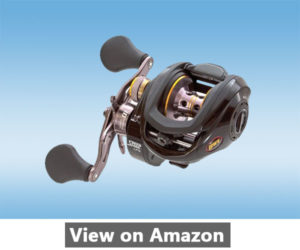 Lews Fishing Reel Reviews