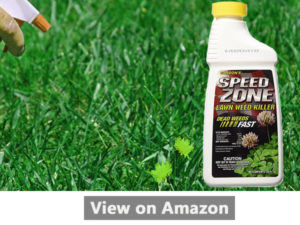 Gordon Weed Killer Reviews