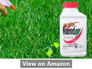 Roundup Weed Killer Reviews