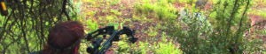 best crossbow for hunting