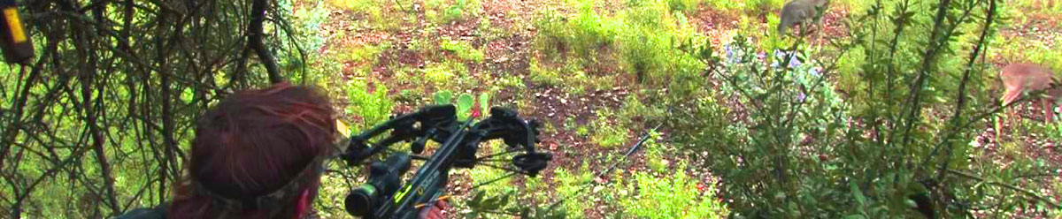 Best crossbow for hunting deer