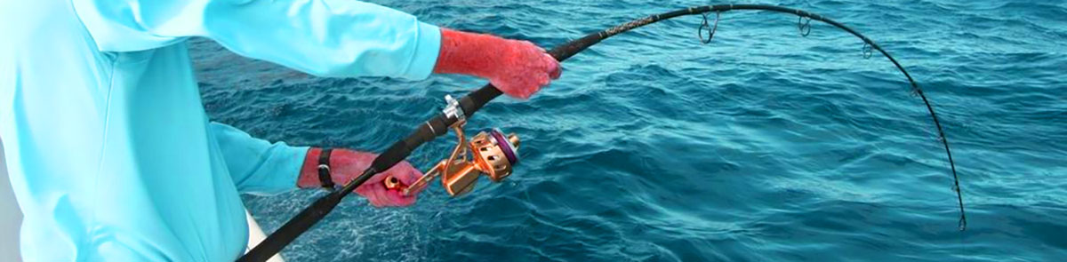 best saltwater fishing reels for beginners
