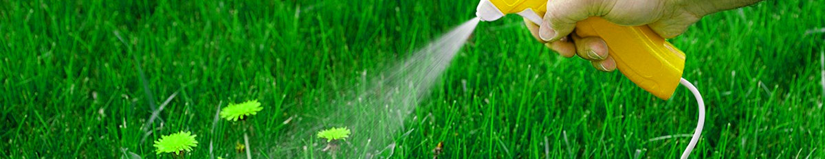 Best weed killer reviews