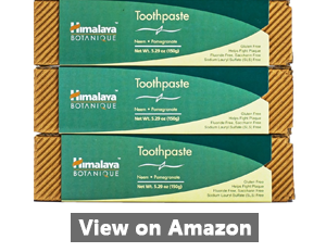 Himalaya Neem Toothpaste Reviews
