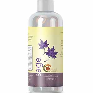 Maple Holistics Sage Shampoo for Dry Scalp