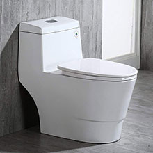 Woodbridge comfort toilet