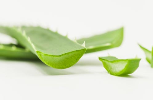 Aloe vera on face before and after 