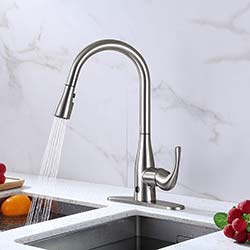 Bio Bidet Motion Sensor Kitchen Faucet