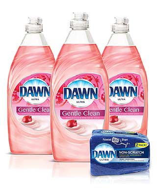 Dawn Gentle Clean Dish Soap